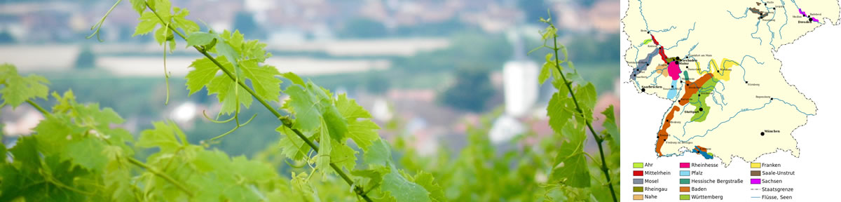 Deusche Weinbaugebiete