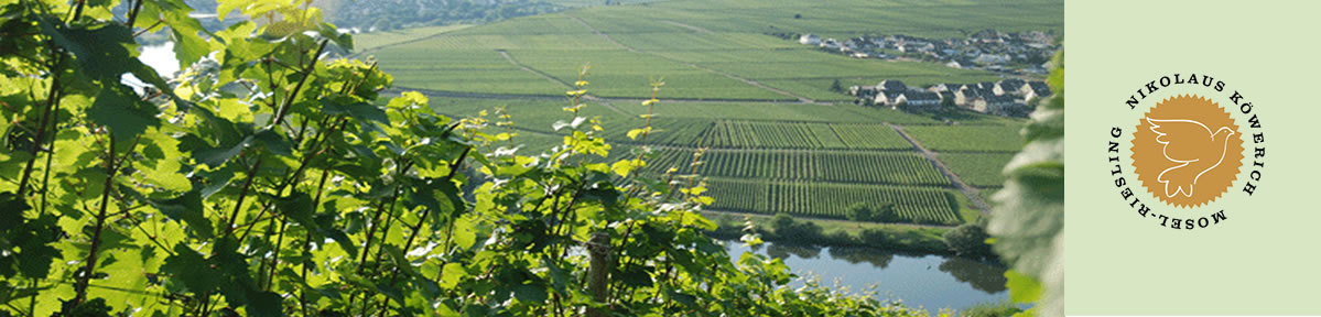 Mosel: Weingut Nick Köwerich